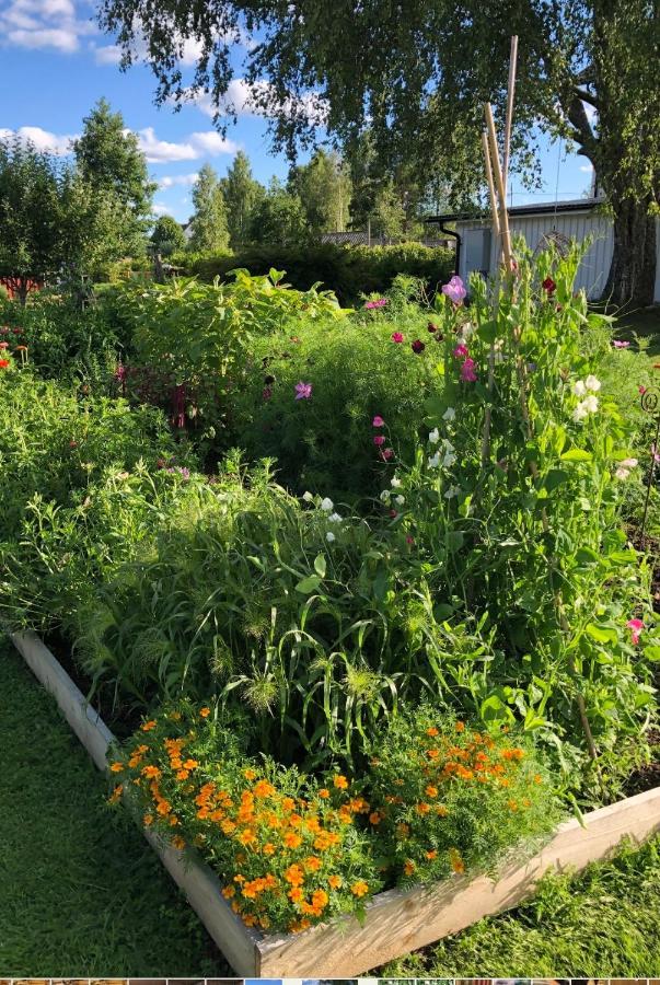 Torpgarden Oennerudsvaegen 56 Apartman Torsby Kültér fotó