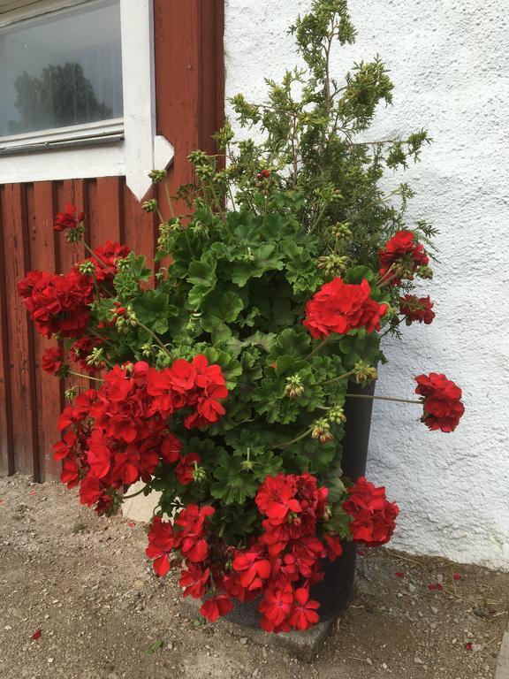 Torpgarden Oennerudsvaegen 56 Apartman Torsby Kültér fotó